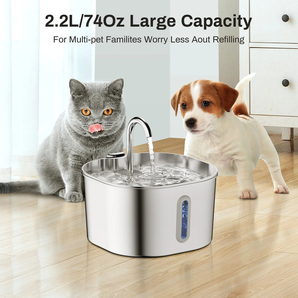 CIOTOLA ACQUA CANE GATTO