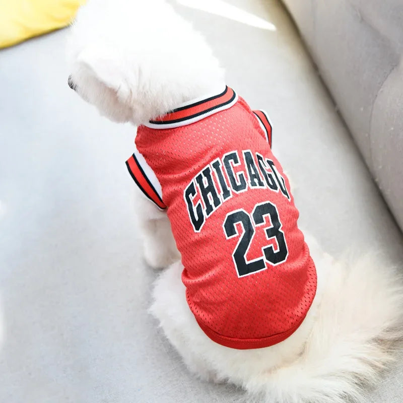 T SHIRT CANE BASEBALL